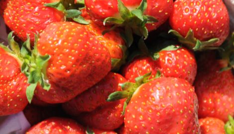 Strawberries and Cream La Ninfa